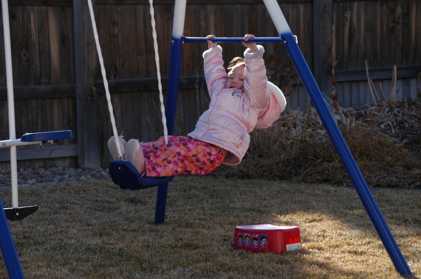 [DSC_0048.JPG]