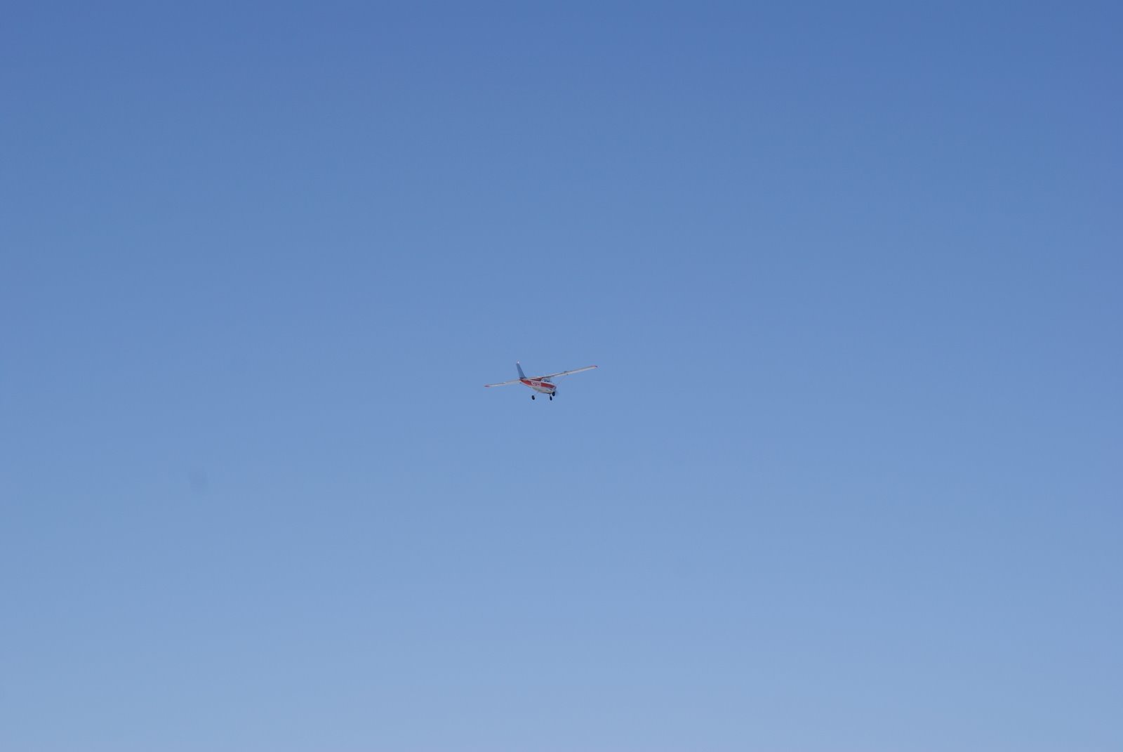 [DSC01239.JPG]