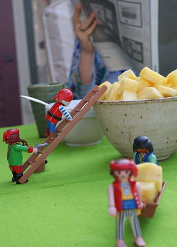 [pineapple_final.jpg]