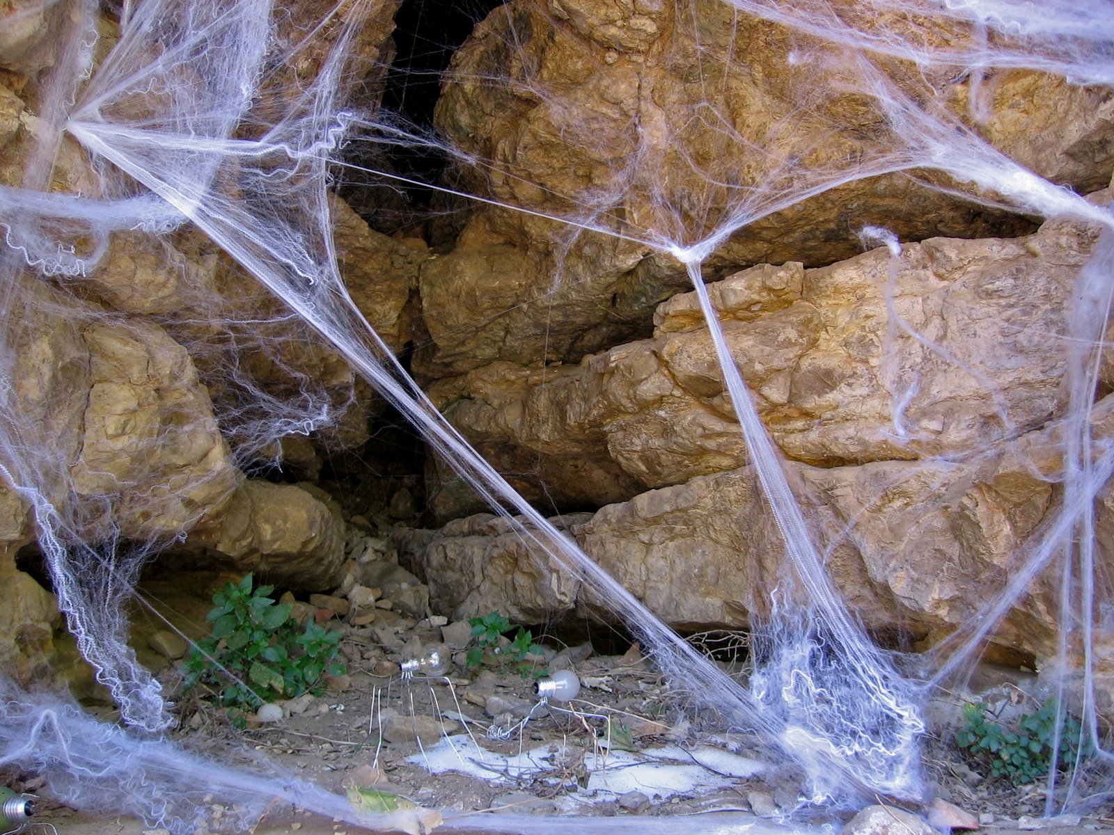 [IMG_1232.JPG]
