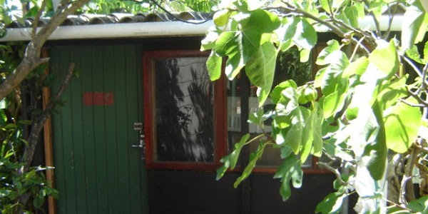 My Wooden Shed