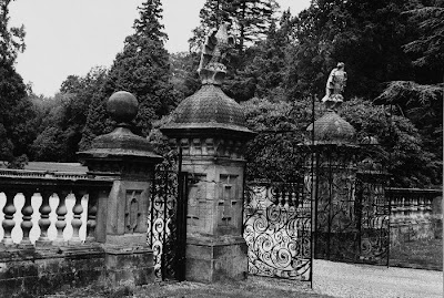 Wykehurst Park