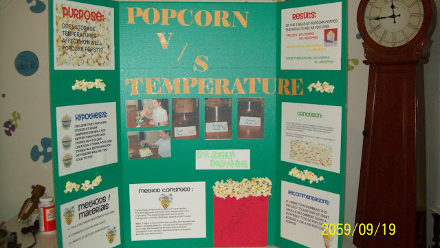 Popcorn science fair project research paper image