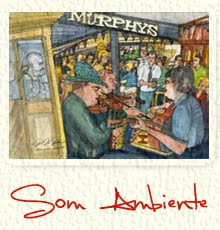 | som ambiente