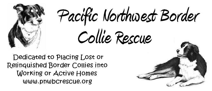 Pacific Northwest Border Collie Rescue