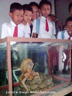 Penemuan Ular Berkepala Manusia Penemuan Ular Berkepala Manusia.serbatujuh.blogspot.com