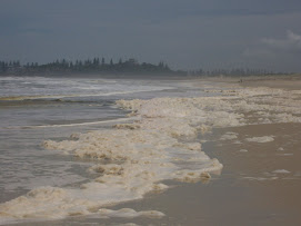 Long foamy beach with brown water