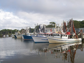 Fishing fleet moored at Iluka