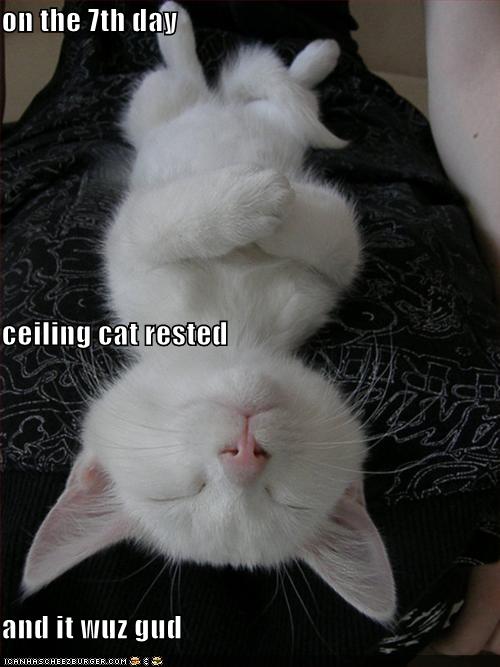 Funny pictures