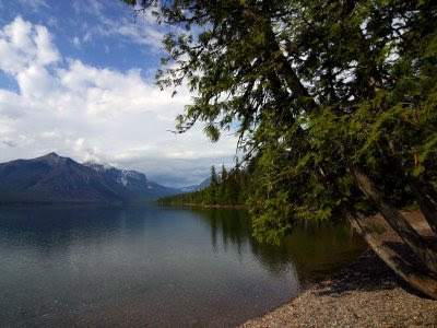 Montana Montana