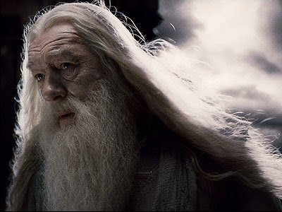 Dumbledore Dumbledore