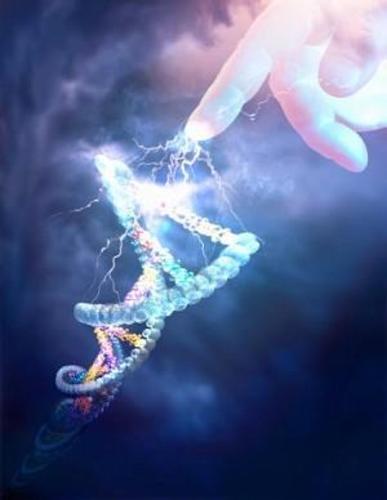 ESTUDIO ADN MITOCONDRIAL estudio adn mitocondrial: