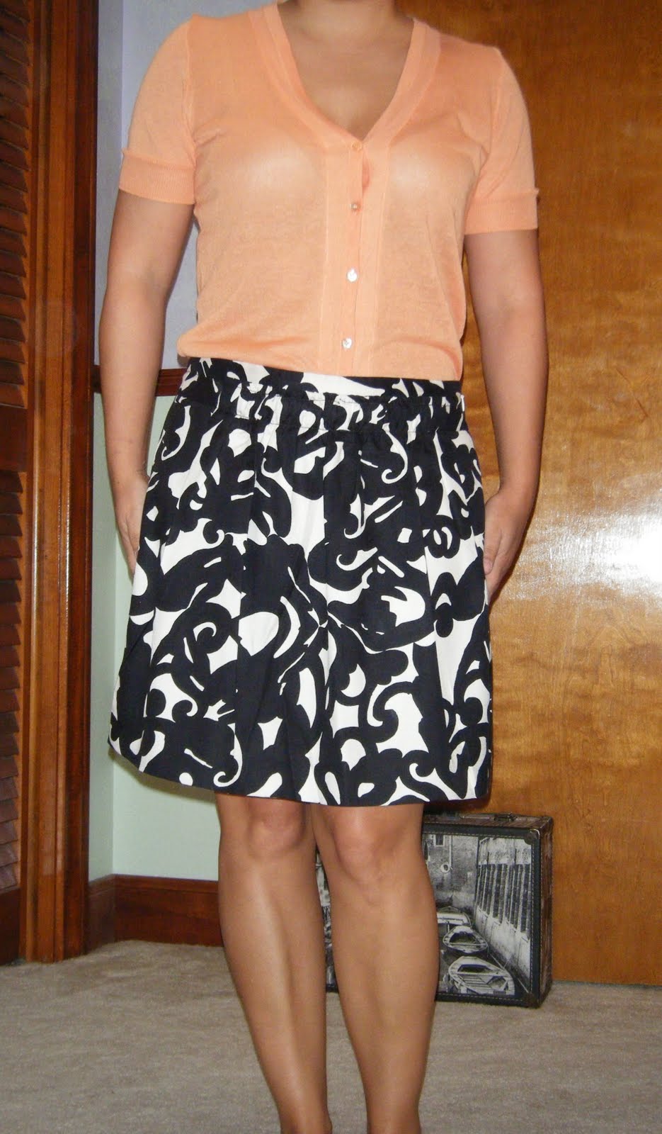 [2010_0214blog0010.JPG]