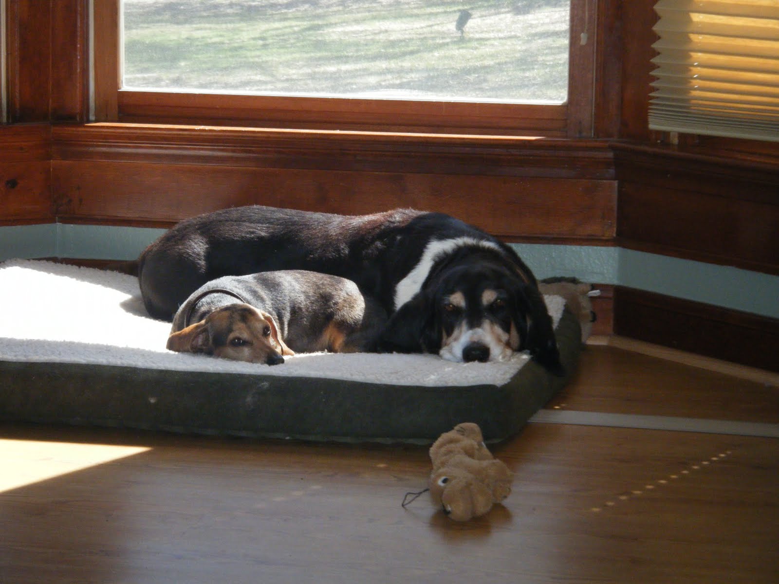 [2010_0319blog0021.JPG]