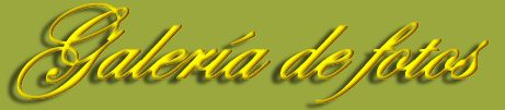 Galeria de fotos