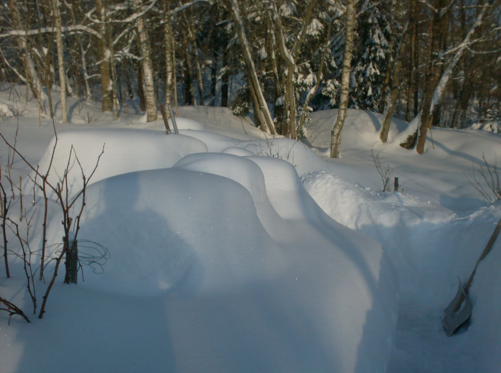 [snö+och+lite+till+008.jpg]