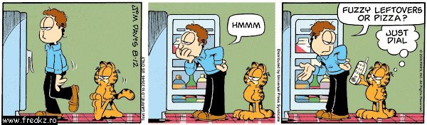 [garfield.jpg]