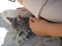 Blog Blog Elly Unterwegs