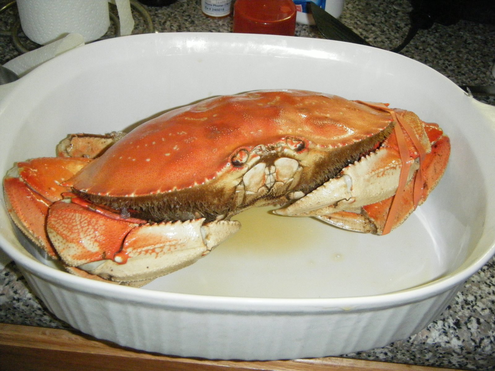 [lobster+dinner+003.jpg]