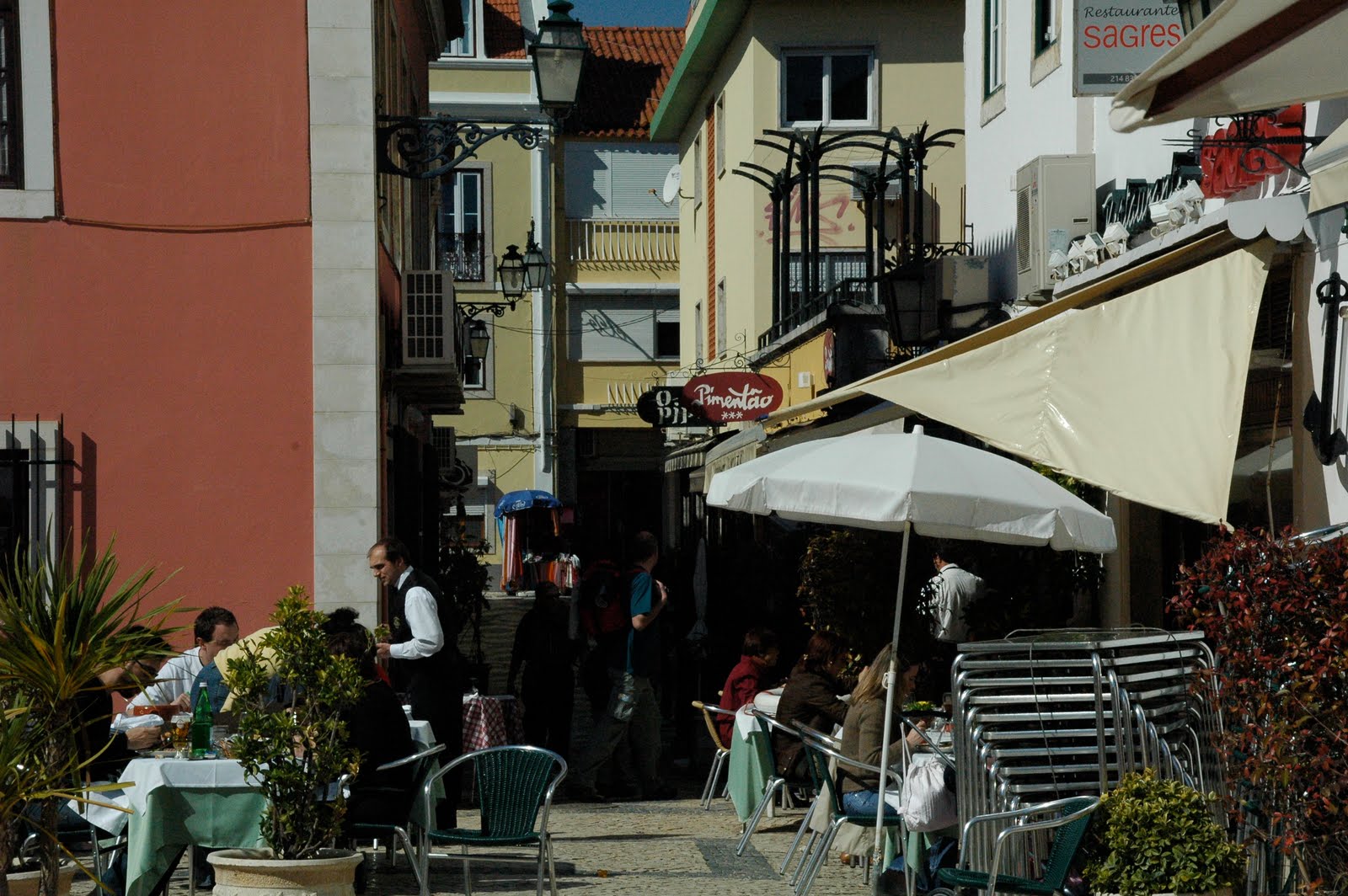 [DSC_0009.JPG]