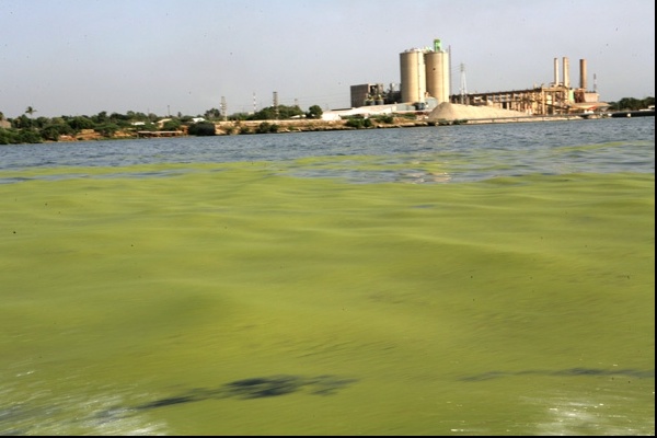DEPRESION DEL LAGO DE MARACAIBO depresion del lago de maracaibo: