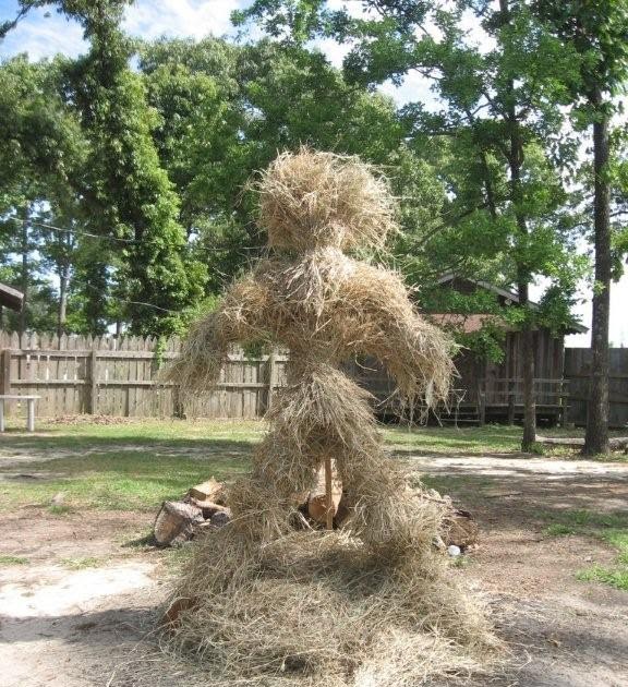 Sandwalk Genes and Straw Men