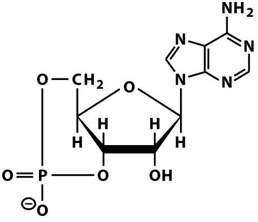 [Name_This_Molecule_#99.jpg]