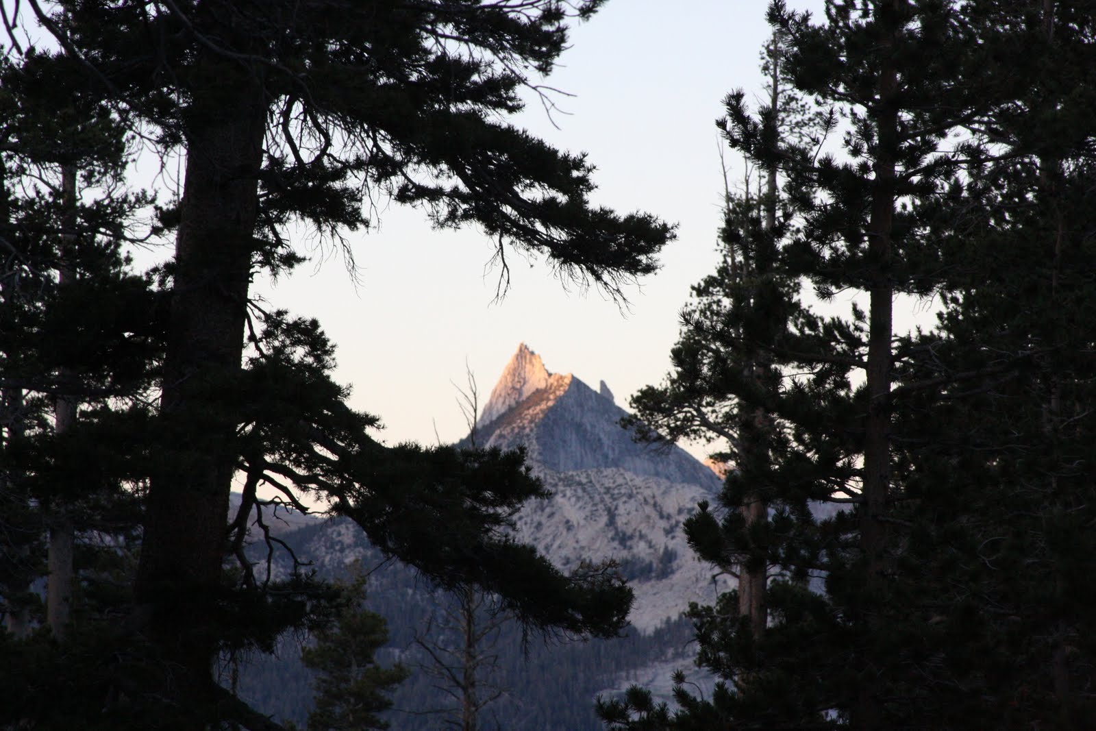 [IMG_9901.JPG]