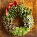 [vivaterra+wreath.jpg]