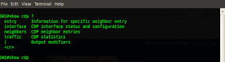 Lesson 10 - Cisco Discovery Protocol