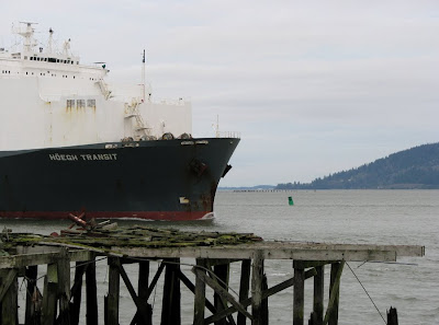 Ship Hoegh Transit in Astoria, Oregon, by the crumbling docks
