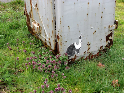 Along the River Walk, Flowers with Rabbit