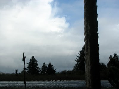 Tree shapes through the rain, Warrenton, Oregon