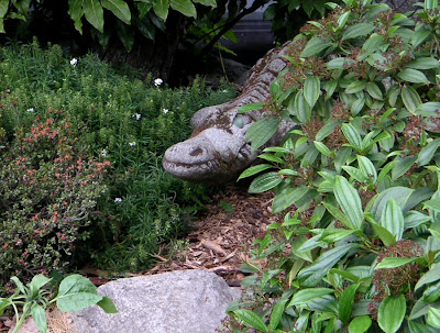 Stone crocodile in the gardens of the Seymour Conservatory, Tacoma, Washington