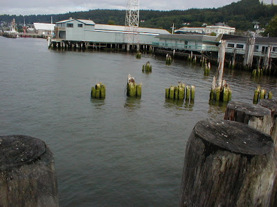 Buildings on the Waterfront