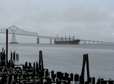 Astoria scene with bridge, river, gulls, and ship