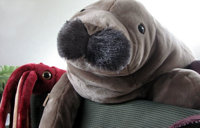 Tapir and Friends Animal Store (Realistic Stuffed Animals and Plastic