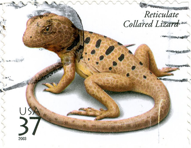 Reticulate Collared Lizard on a US Postage Stamp, 2003