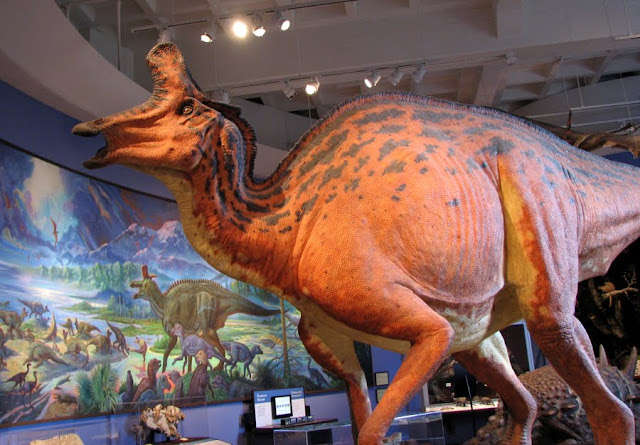 Dinosaur at the Museum of Natural History,  San Diego, California