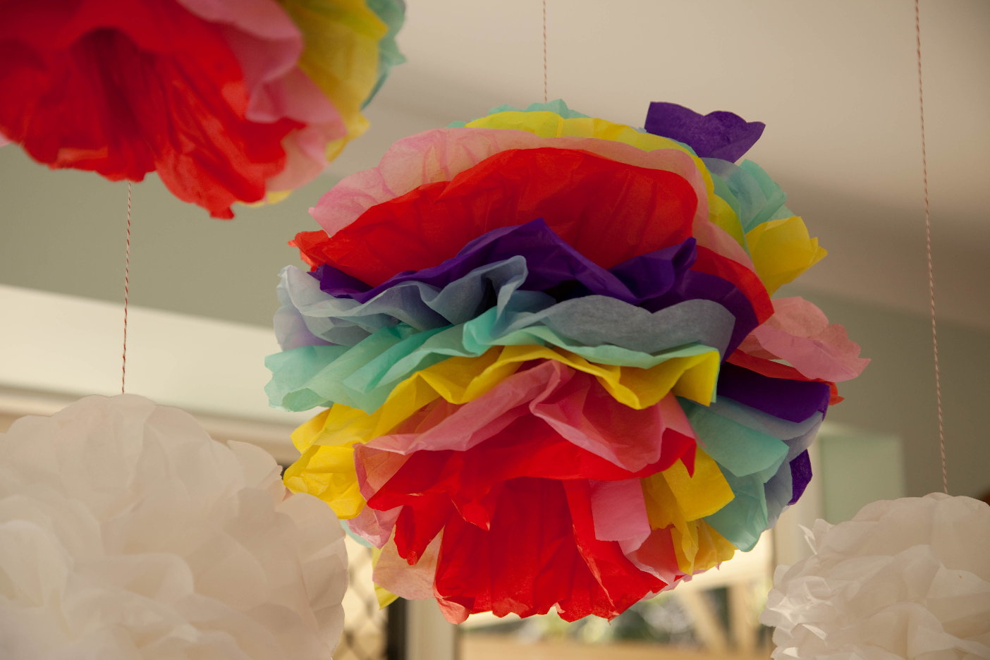 rainbow pomeranian and sweet wizard of oz s 4th birthday rainbow pomeranian and sweet wizard of oz s 4th birthday