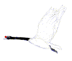 [cisne+animado.gif]