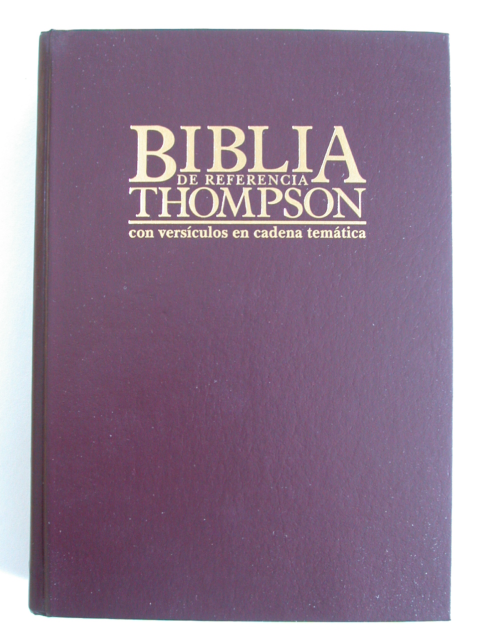 [Biblia+Thompson+009.jpg]