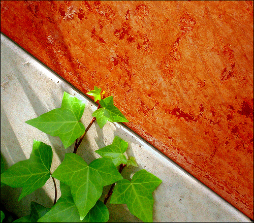 [238749679_7b7de436a5.jpg]