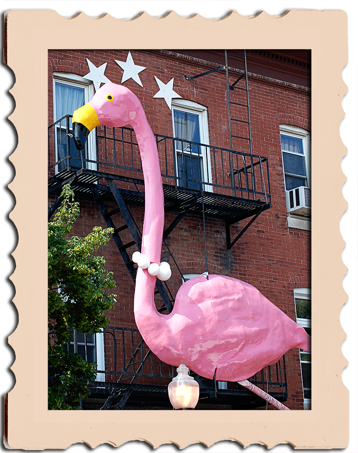 The Painting Queen Getting Wiggy With It... At Honfest