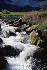 A gushing river, beautiful to watch!