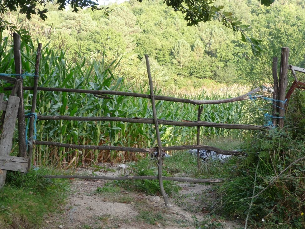 [P1000422e.JPG]
