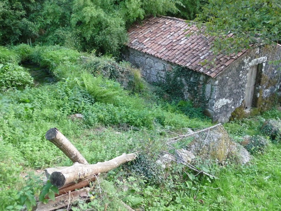 [P1000435l.JPG]