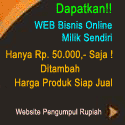 web bisnis online