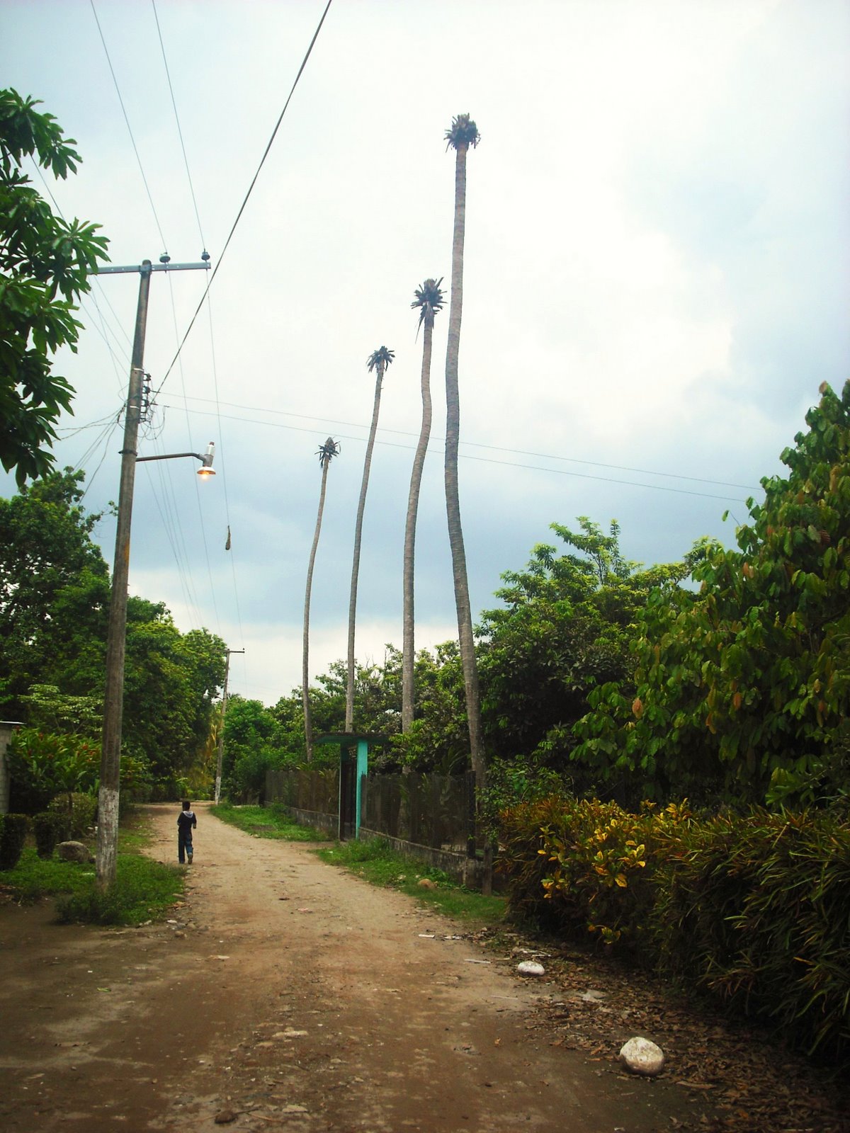 [DSCF6720.JPG]