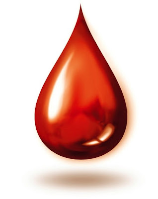 Da li ste dobrovoljni davalac krvi? SAFET+BEGOVI%C4%86